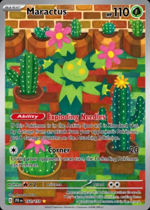 Maractus